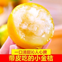 融安滑皮金桔脆皮精品果一件代发集采基地直发批发