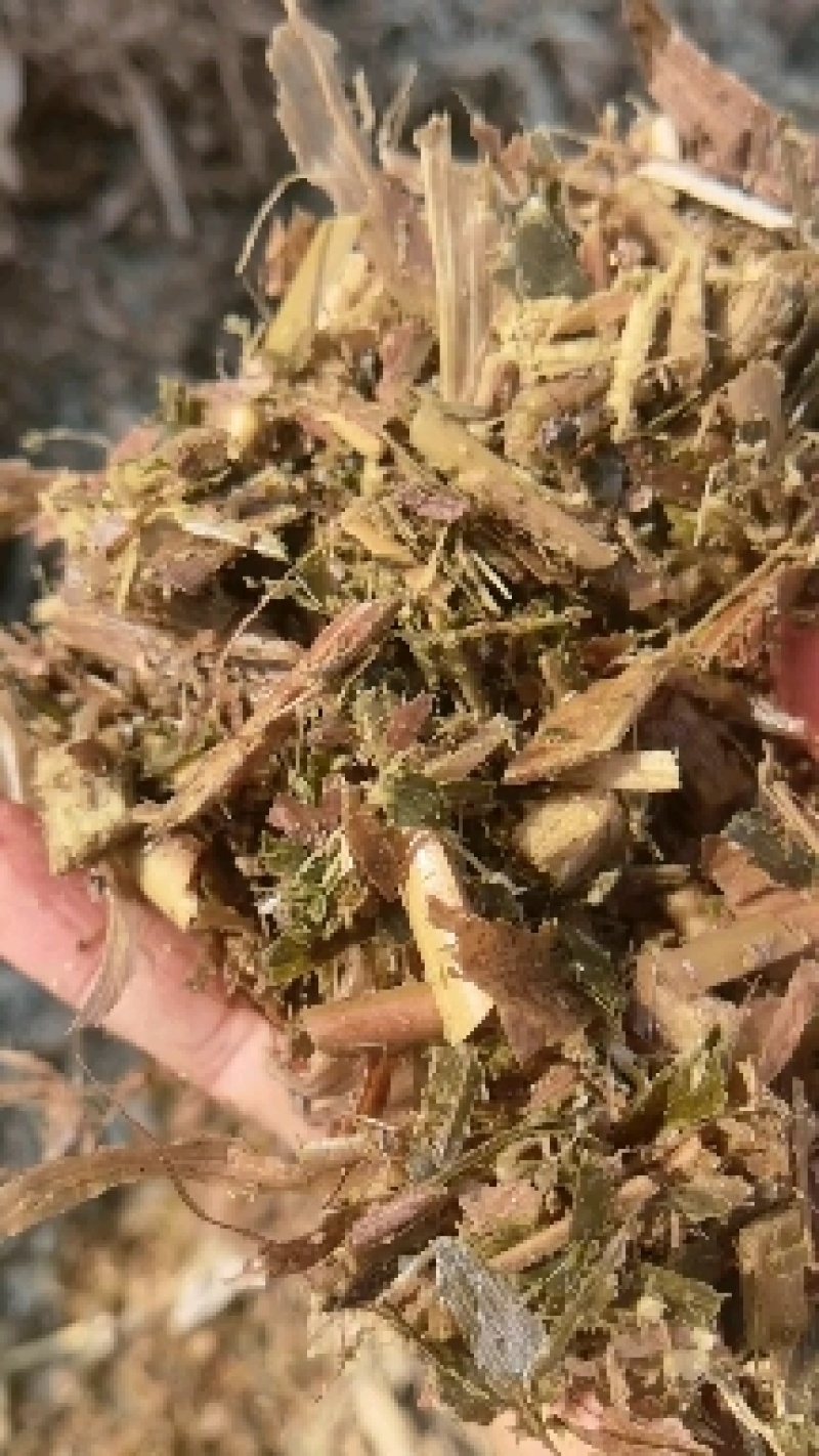 常年经营青储玉米饲料产品手下有草场四个保证质量厂家供应