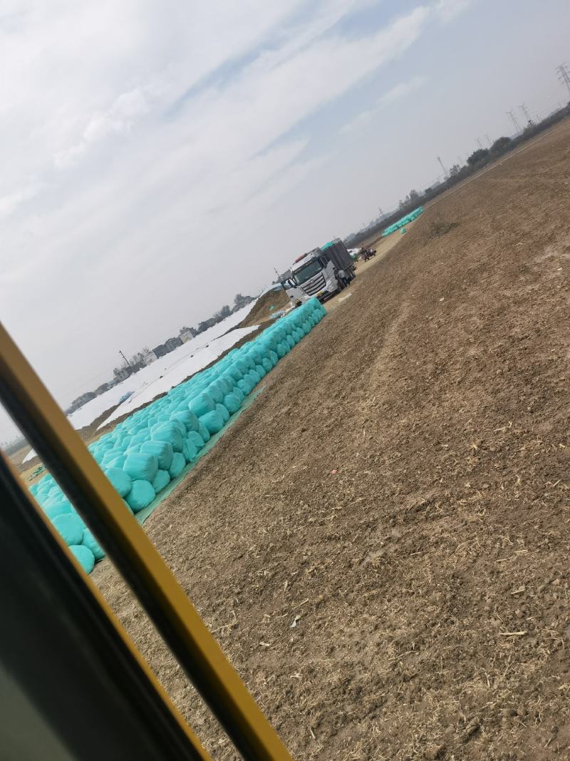常年经营青储玉米饲料产品手下有草场四个保证质量厂家供应