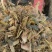 常年经营青储玉米饲料产品手下有草场四个保证质量厂家供应