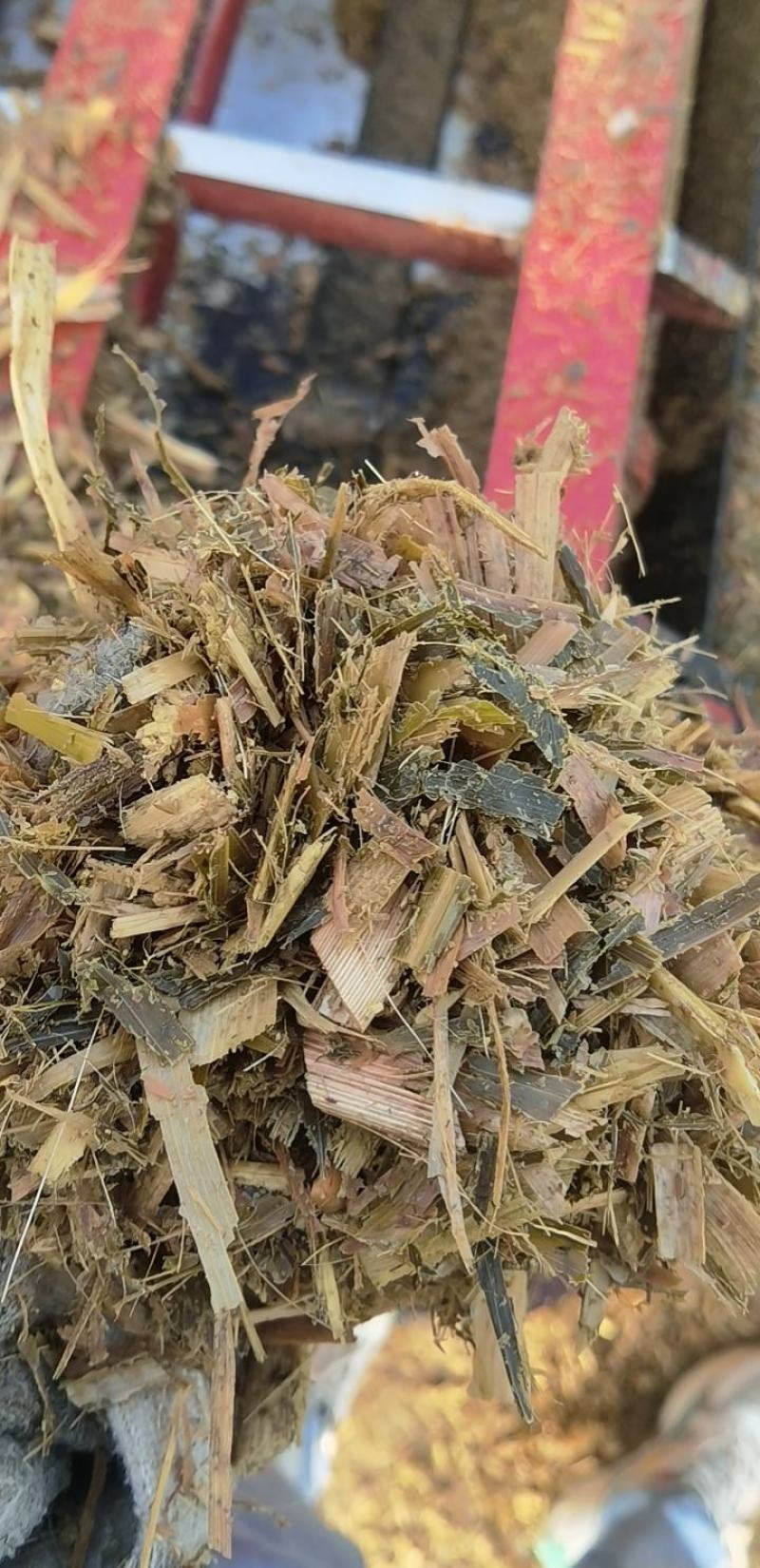 常年经营青储玉米饲料产品手下有草场四个保证质量厂家供应