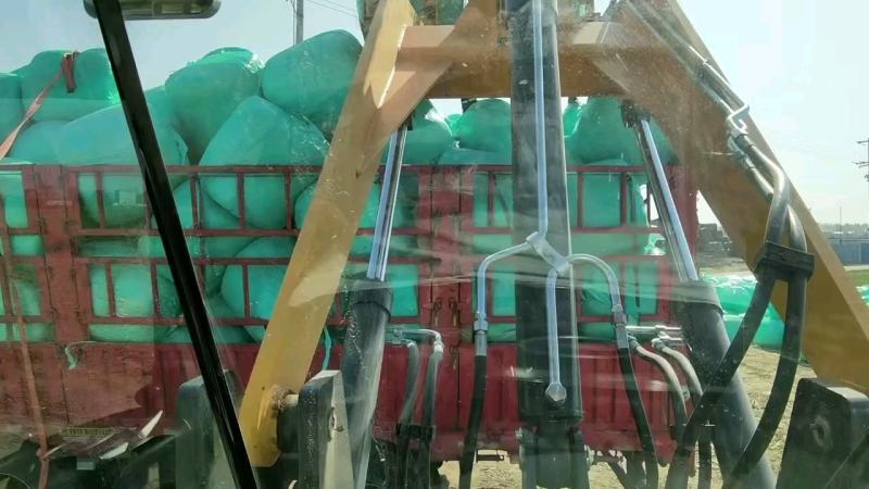 优质青储玉米自产自销质量保证保证无水无霉变欢迎联系