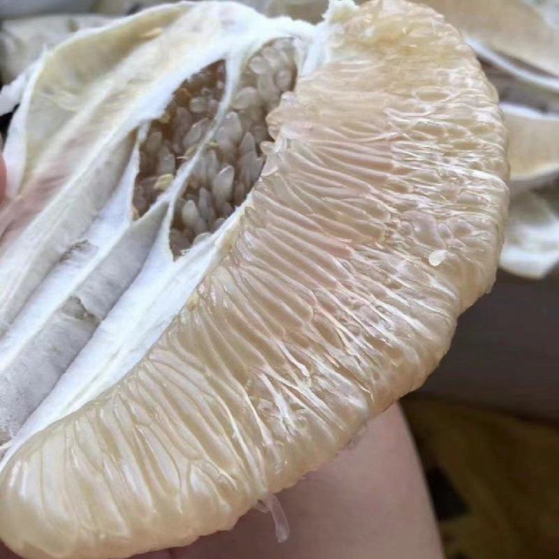 来哦，，柚子哦，，，，，，，，，，，