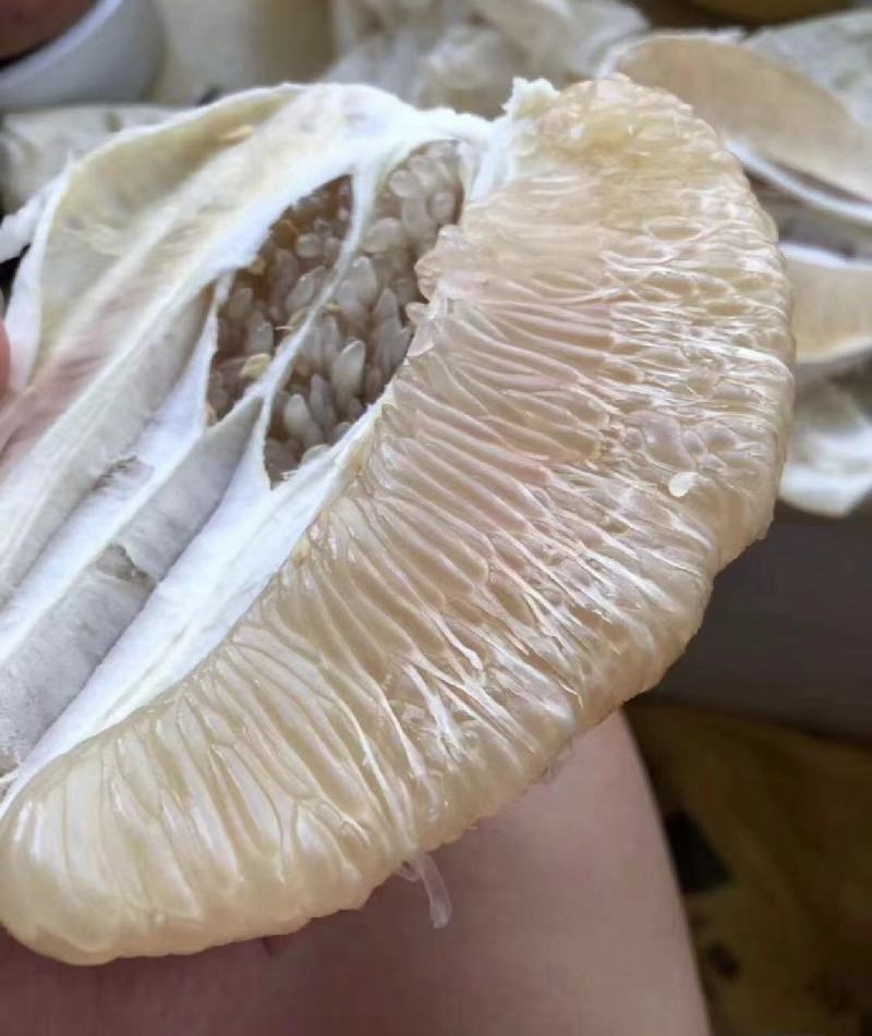 来哦，，柚子哦，，，，，，，，，，，
