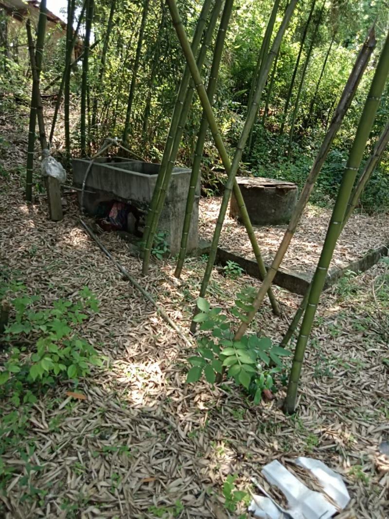 农场，设备齐全200亩山地几十亩鱼