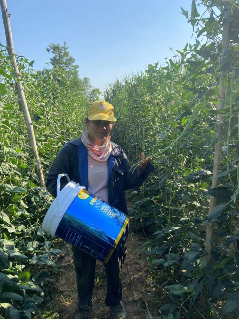 云天化地耕欣虾蟹麟脂浓缩原浆含氨基酸水溶肥料