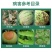 沪果亮40%苯甲·咪鲜胺炭疽病杀菌剂