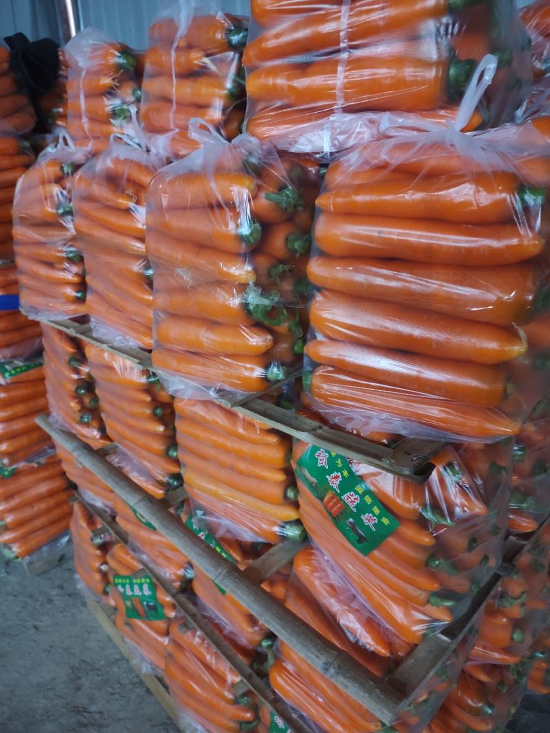 胡萝卜，中条，小条，次品，各种规格接受！源头货源！