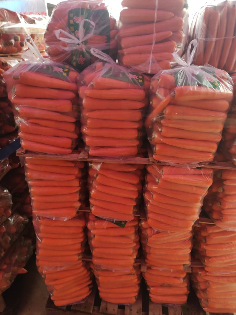胡萝卜，中条，小条，次品，各种规格接受！源头货源！