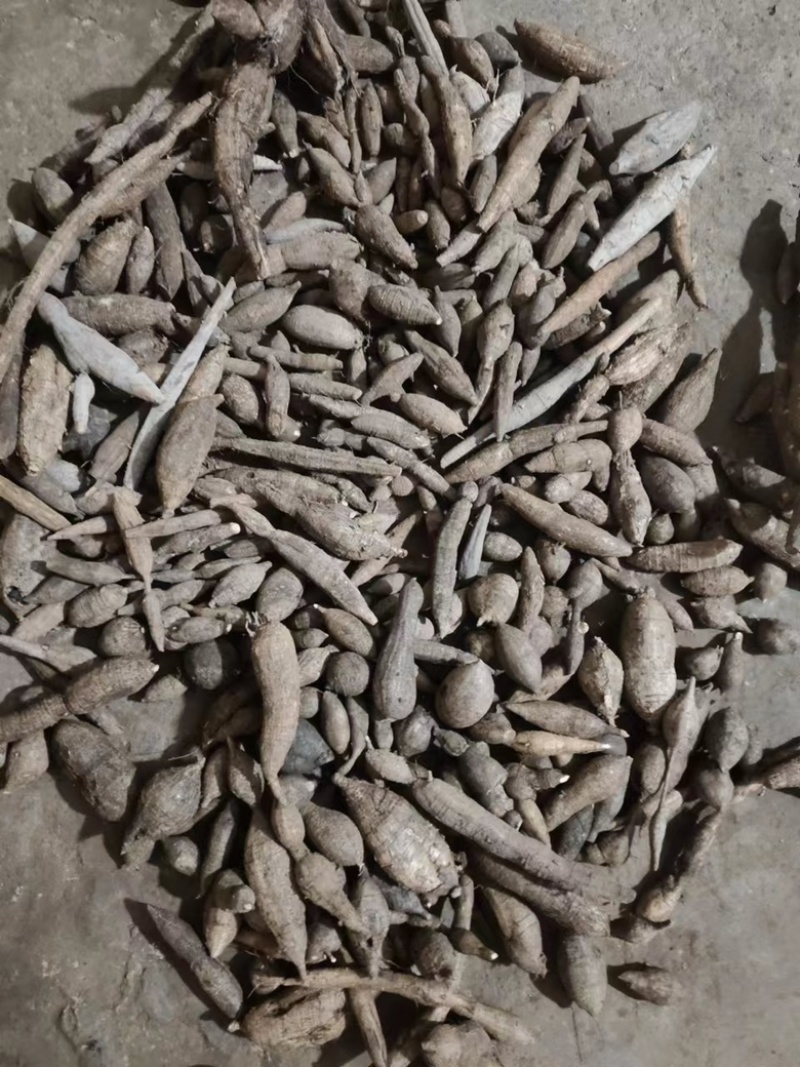 天然新鲜野生牛大力黑牛黄牛都有保证纯野生货量大批发价