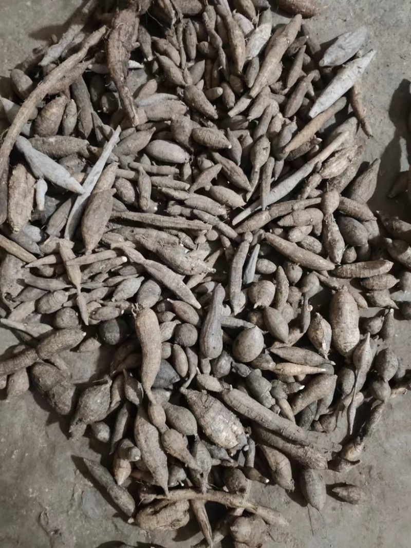 天然新鲜野生牛大力黑牛黄牛都有保证纯野生货量大批发价
