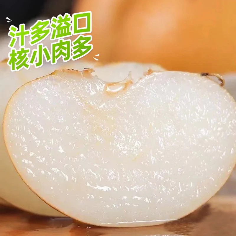 精品秋月梨，河北秋月梨大量现货现摘现发，全国供应