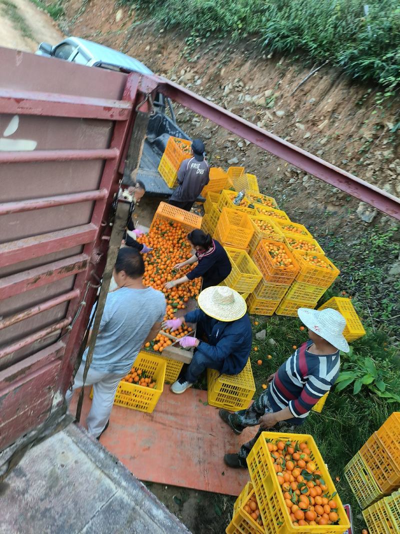 有需要的联系我