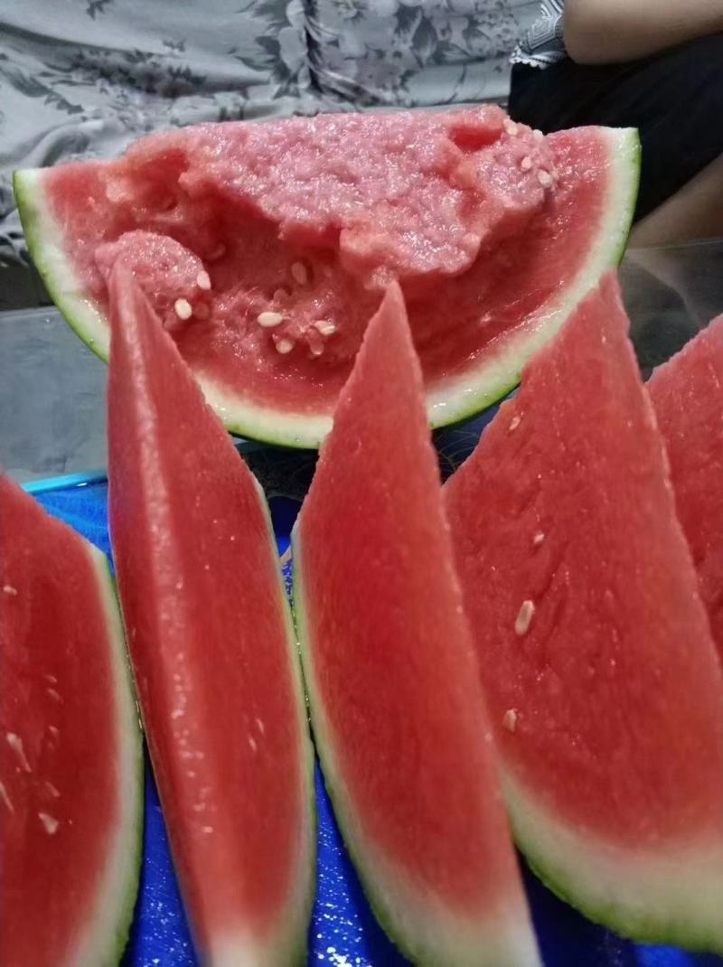 神奥甜美一号西瓜种子甜王西瓜种子耐湿热耐裂果口感好产量高