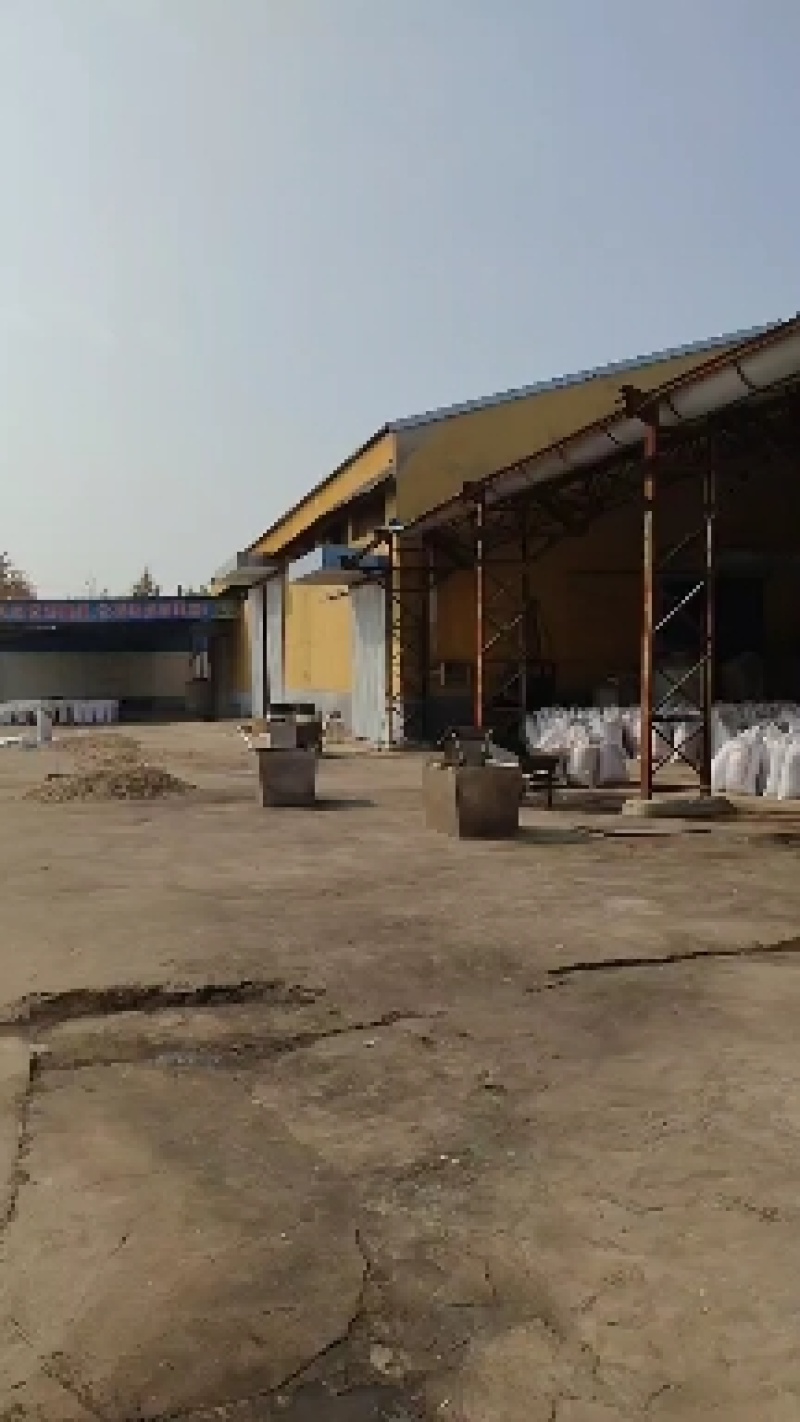 白果批发。银杏果源头产地量大从优，