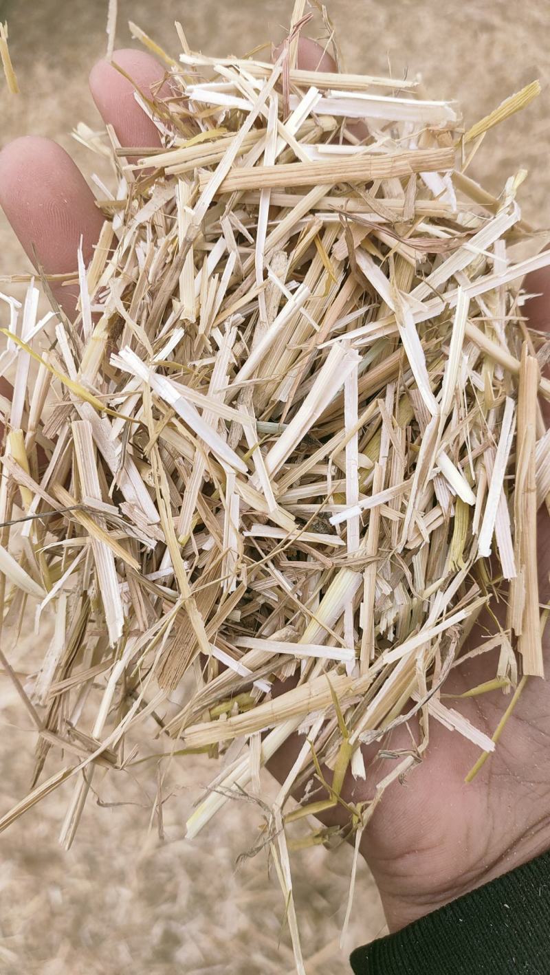 花生秧草粉、花生秧草段、颗粒、叶粉、马牛羊草料、饲料原料