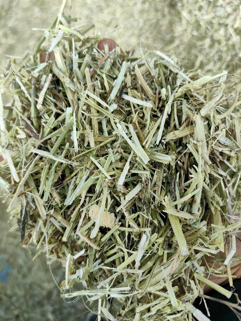 花生秧草粉、花生秧草段、颗粒、叶粉、马牛羊草料、饲料原料