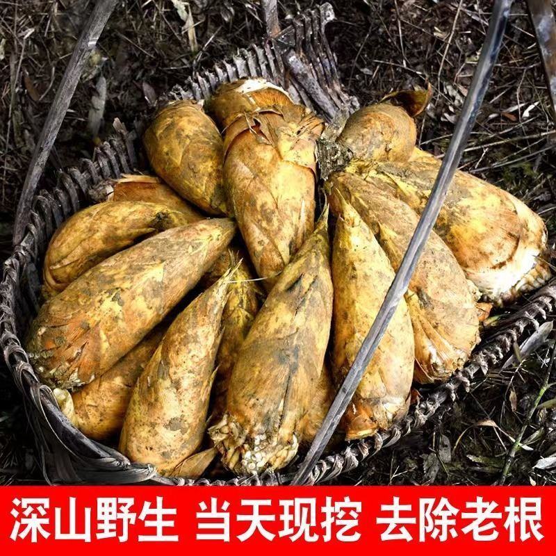 湖南炎陵冬笋批发，商超酒店，饭店，菜市场，供应，量大优惠