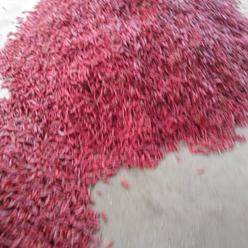 辣椒新一代高辣三英，红辣椒，黄辣椒，青辣椒，干货，各种规