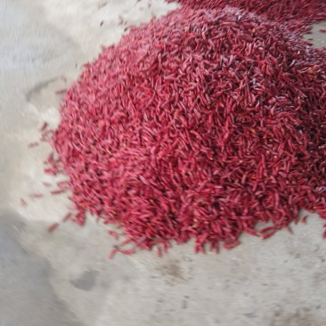 辣椒新一代高辣三英，红辣椒，黄辣椒，青辣椒，干货，各种规