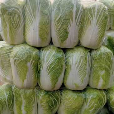 精品黄心大白菜，基地货，保质保量。
