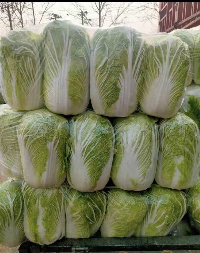 精品黄心大白菜，基地货，保质保量。