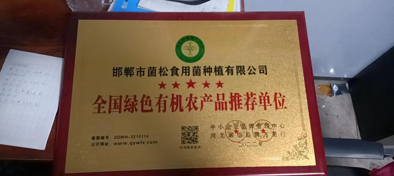 河北邯郸平菇菌棒厂家一手货源全国发货欢迎来咨询