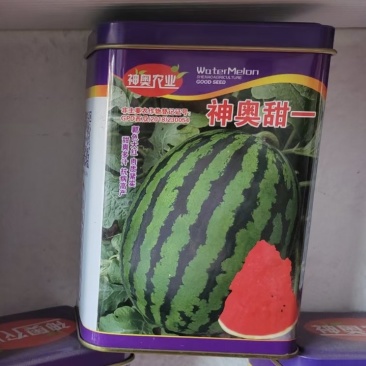 神奥甜一甜王种子早熟易管理含糖量14.2度果皮硬耐贮运