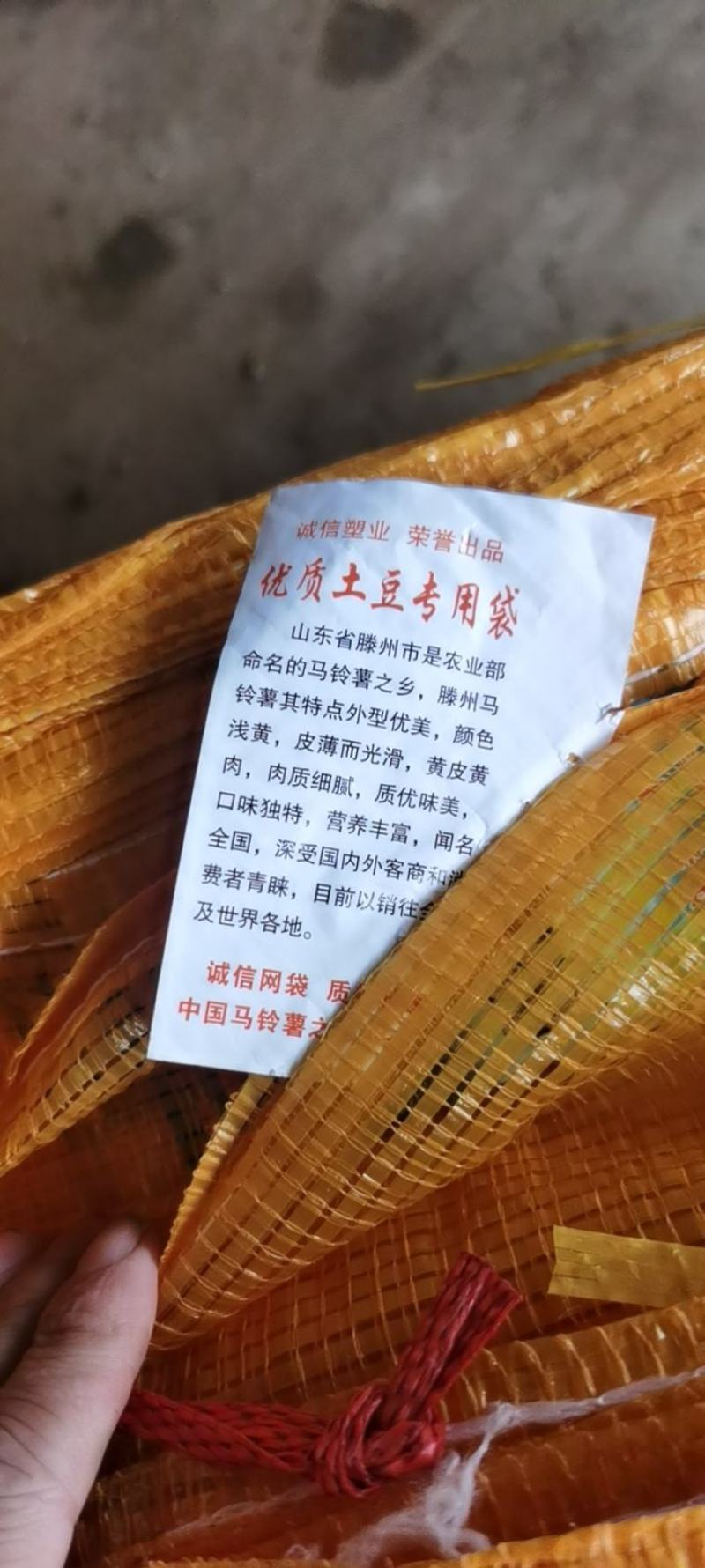 优质费乌瑞它脱毒土豆种，抗病强，产量高，大量现货