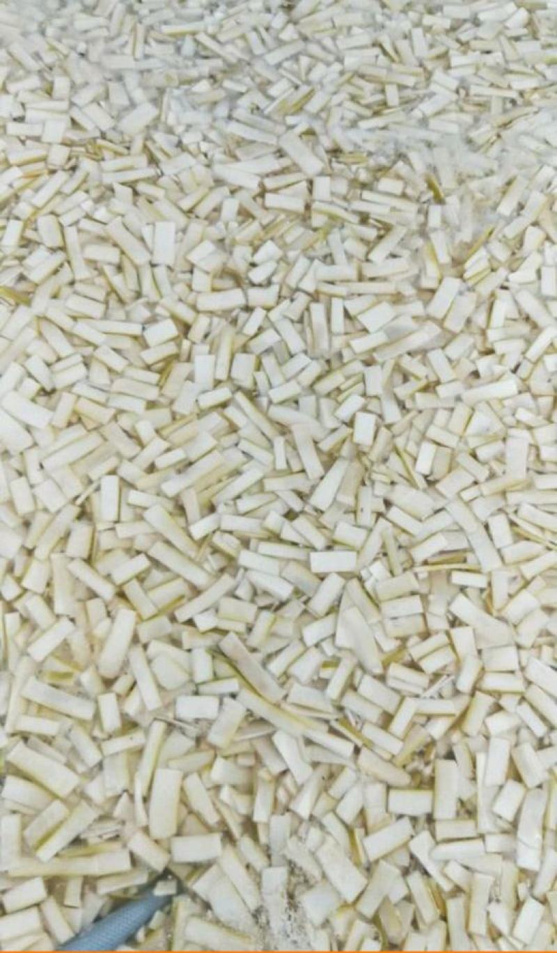 盐笋片笋片麻竹笋片鲜嫩爽口品质保证欢迎联系