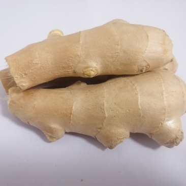 山东潍坊安丘，姜母姜巴姜头风干姜巴老姜注重品质