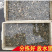 沙甲鲜活沙甲大量批发零售新鲜海甲海鲜贝类鲜活