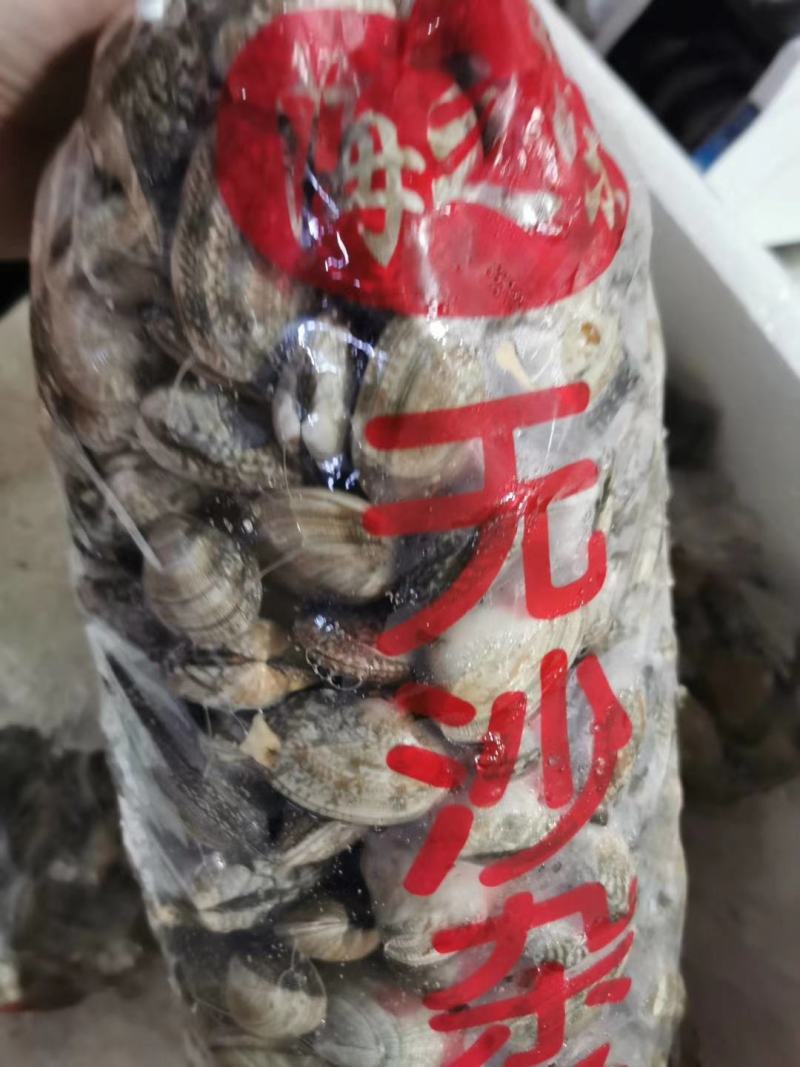 沙甲鲜活沙甲大量批发零售新鲜海甲海鲜贝类鲜活