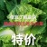玉田大白菜北京三号白菜大量供货价格优惠质量优益散