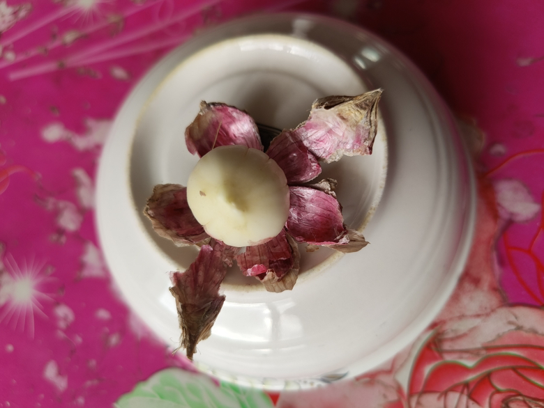 紫皮大蒜切片特写