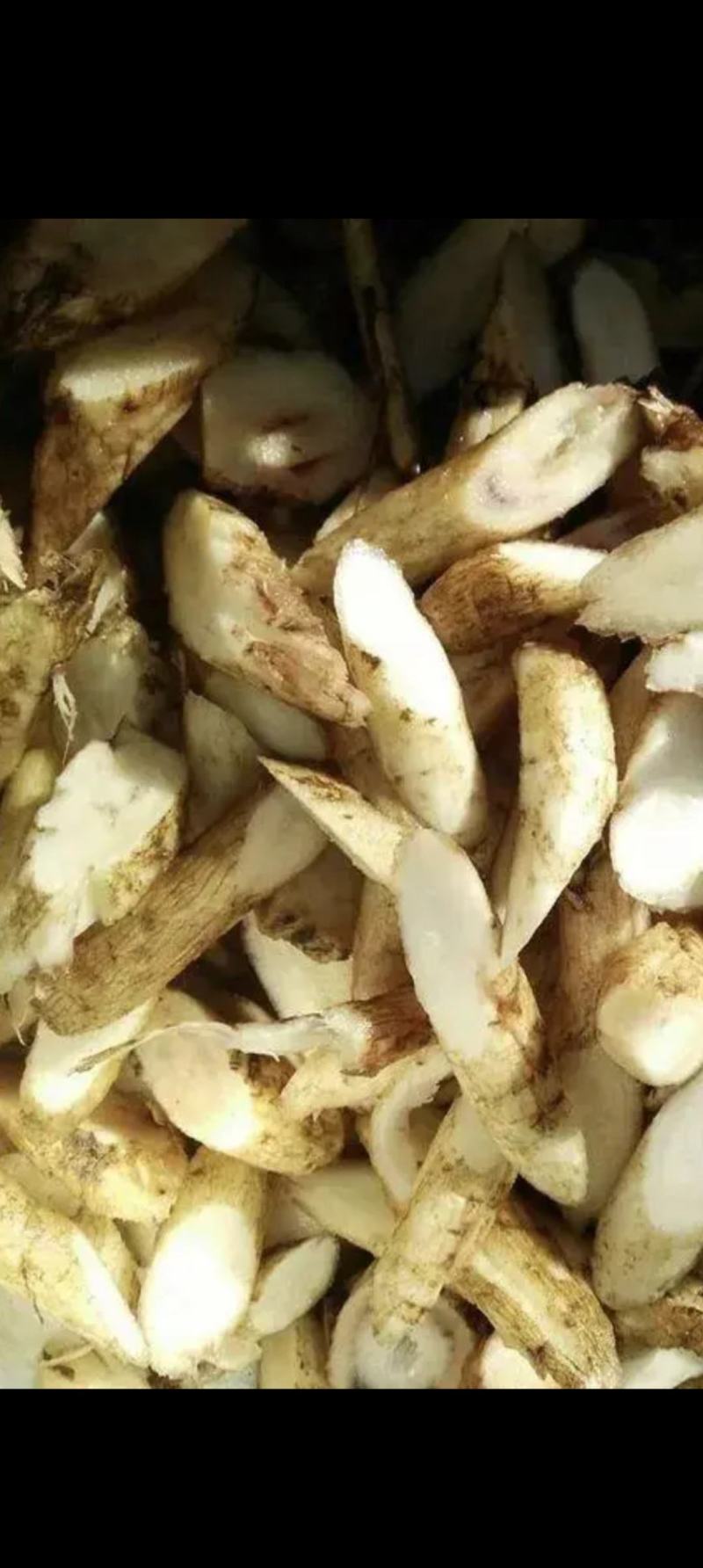云南马刺根大量上市，几百吨！