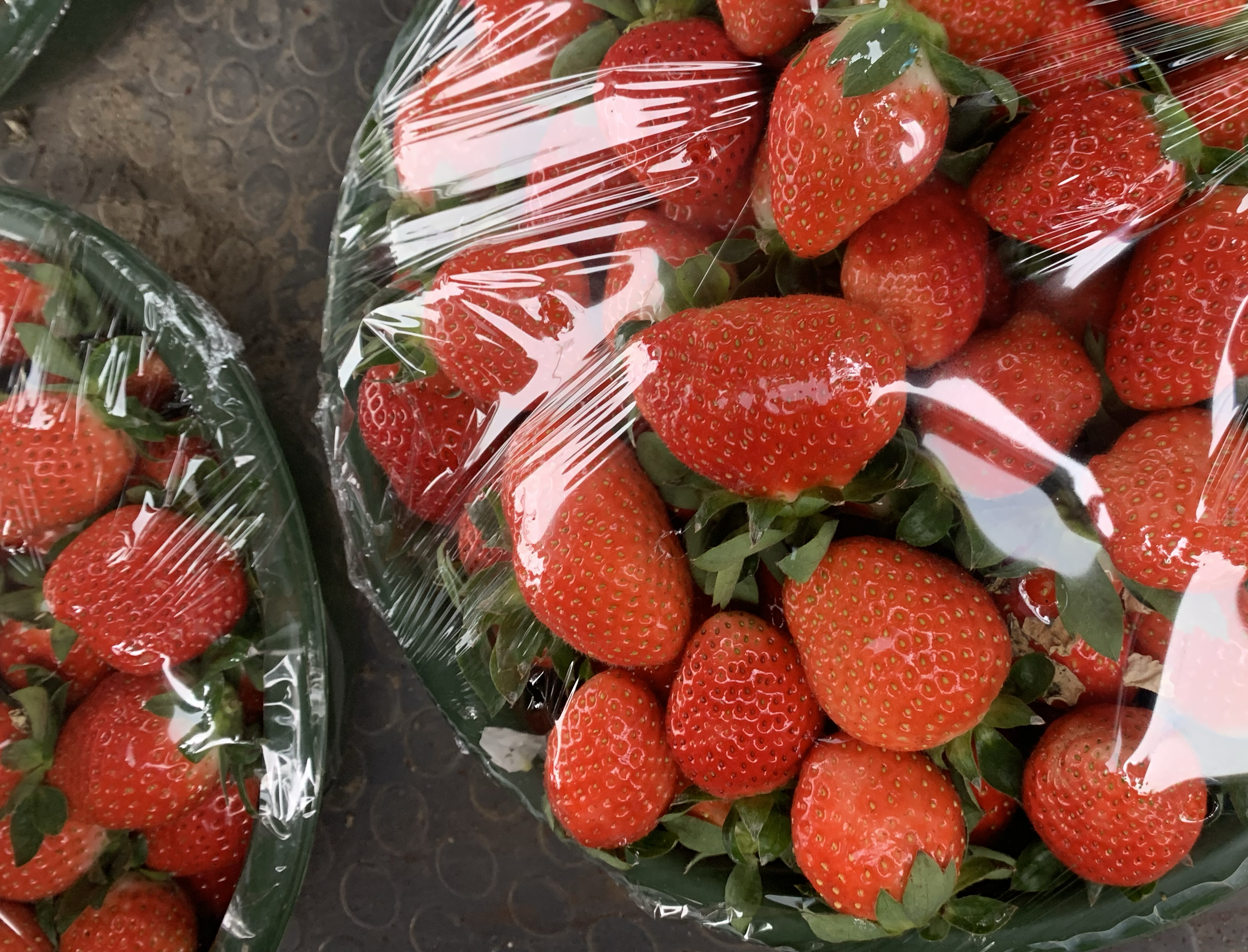 新鲜草莓在阳光下