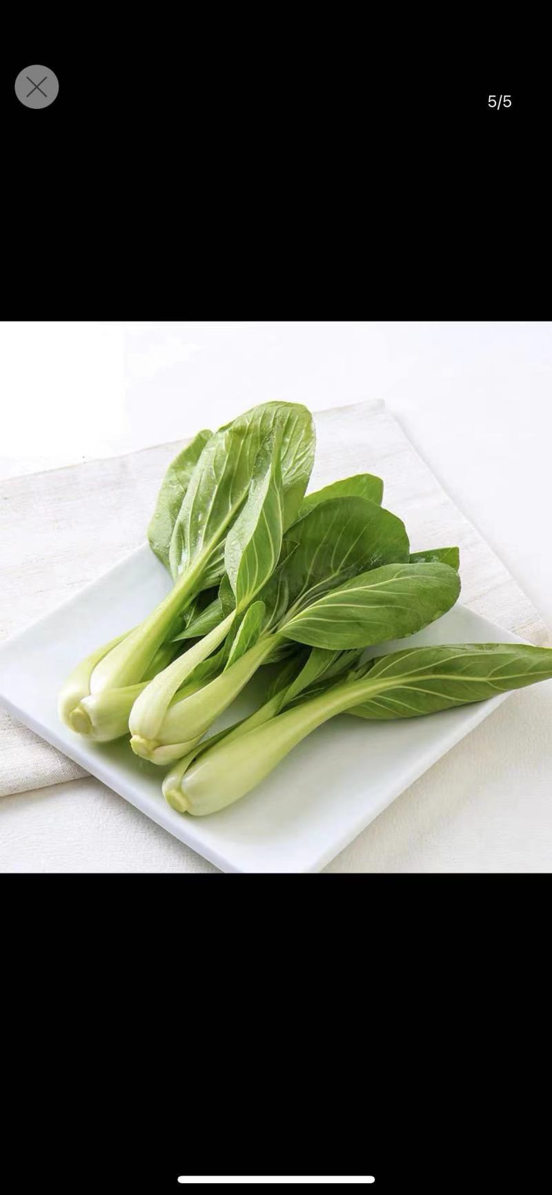 A江苏淮安油菜精品上海青，产地一手货源，全国供应