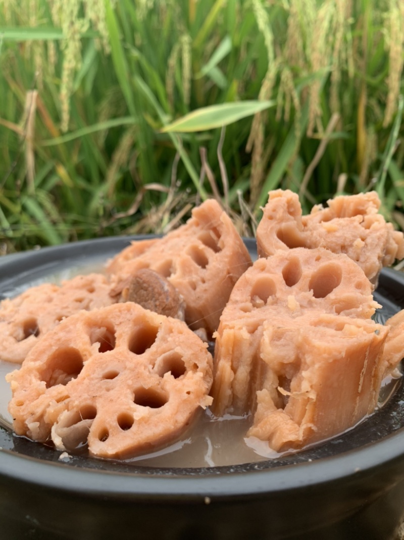 莲藕洪湖煲汤粉藕洪湖莲藕泥藕平头粉藕酒店餐饮直供