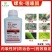 螺虫噻嗪酮螺虫乙酯果园果树柑橘树蚧壳虫专用农药杀虫剂