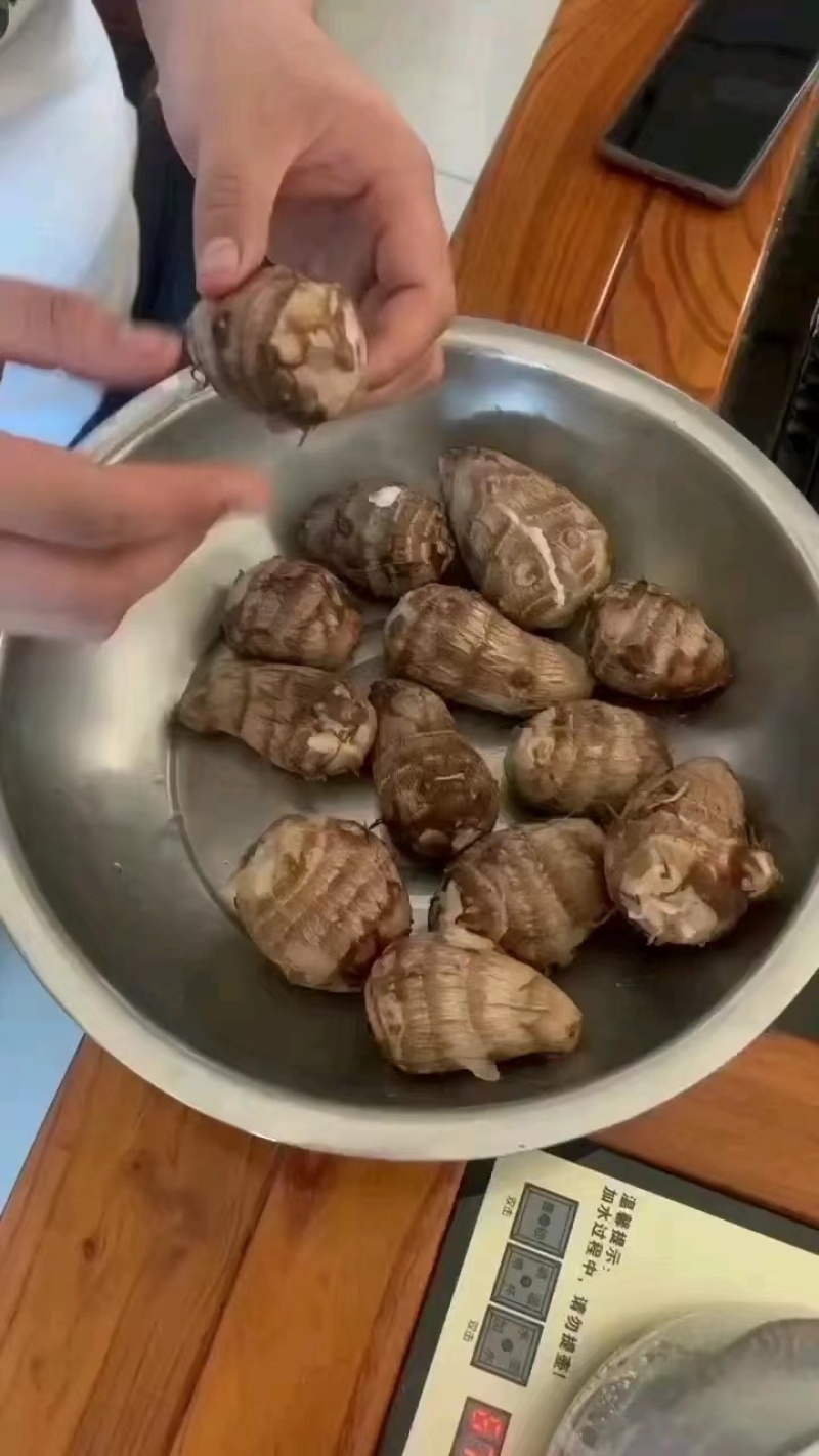 芋头种/高产芋头种/8520/豆包/包技术/包回收/