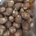 芋头种/高产芋头种/8520/豆包/包技术/包回收/