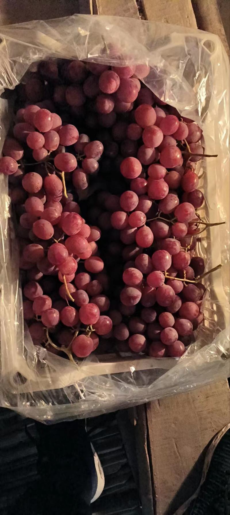 红提葡萄大量上市，货源充足，品质好，味甜多汁