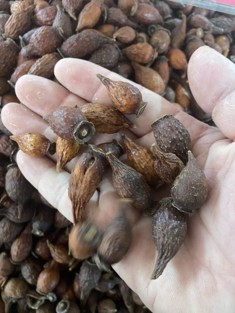 金樱子金樱肉中药材新货