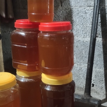 正宗野生蜜蜂糖，自己山上找的
