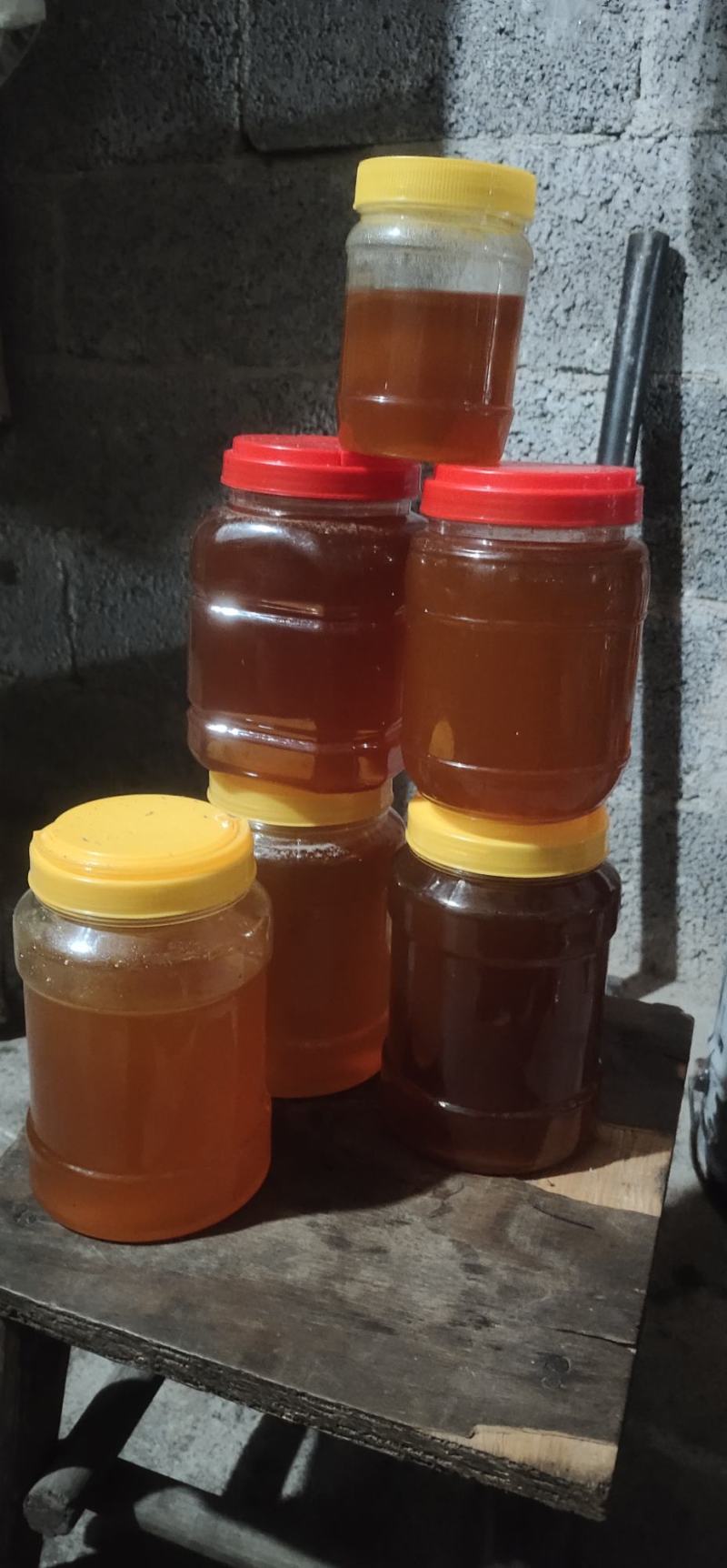 正宗野生蜜蜂糖，自己山上找的