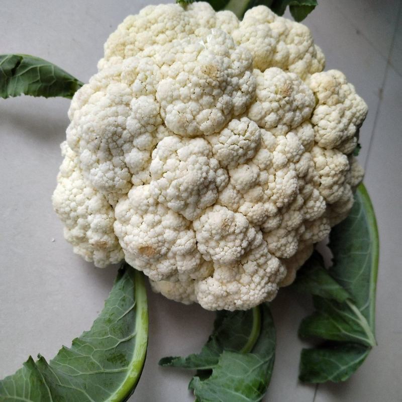 花菜