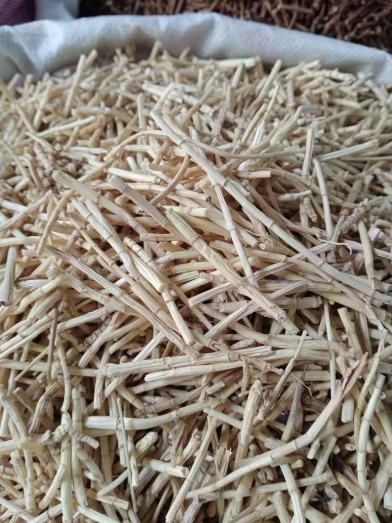 白茅根河北地产精品，茶用五公分段