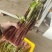 湖北菜苔精品红菜苔大量供货一手货源量大从优对接全国