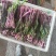 湖北菜苔精品红菜苔大量供货一手货源量大从优对接全国
